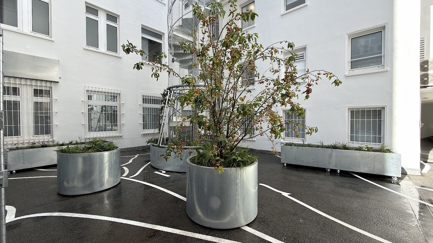 Quartett Pflanztröge