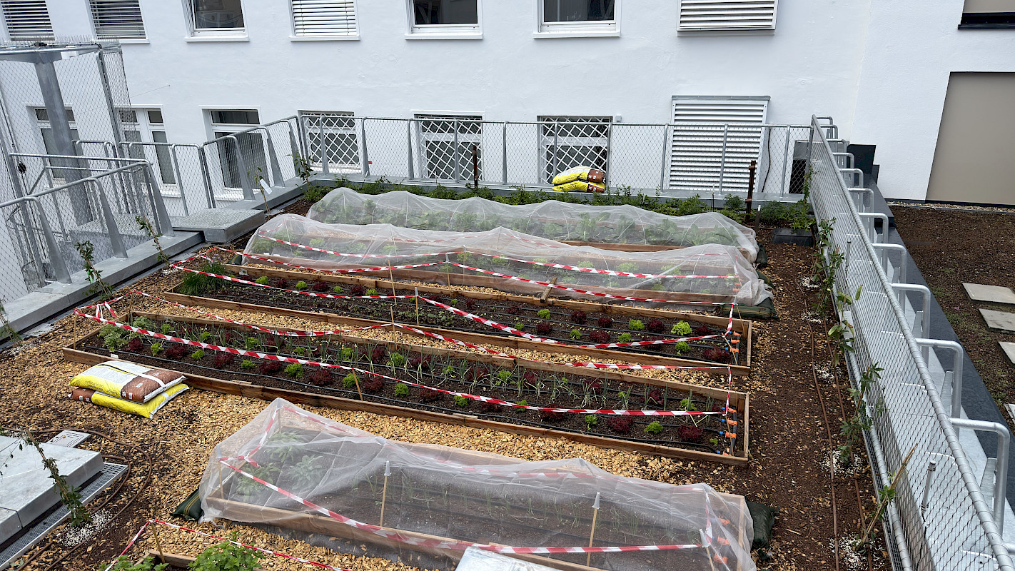 Urban Gardening