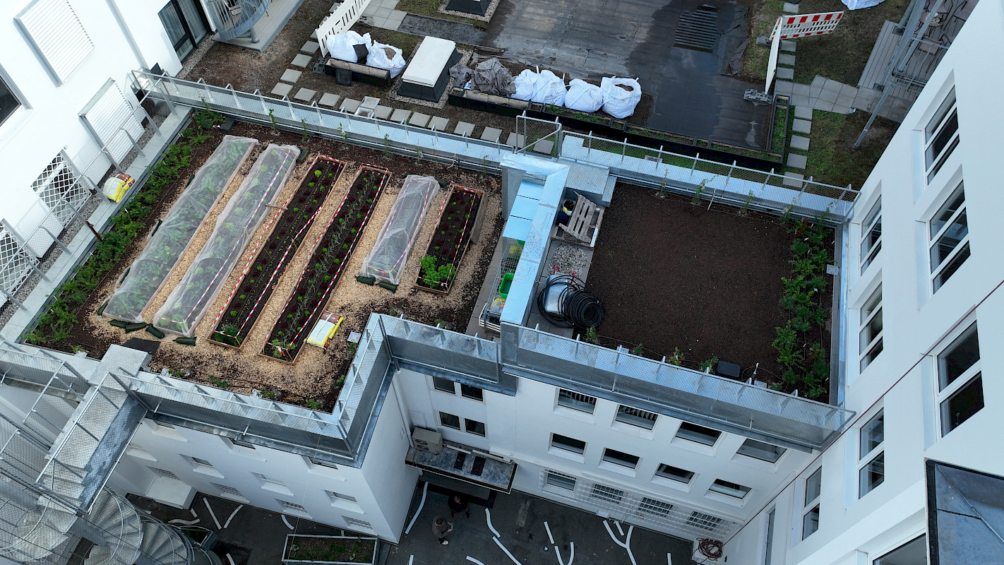 Urban Gardening